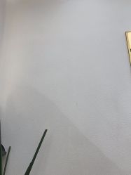 -JUNO hair salon