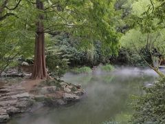 -杭州植物园