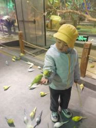 -酷嗒动物文化乐园(cutezoo西溪乐天城店)