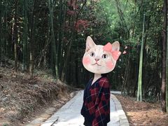 -水墨汀溪风景区