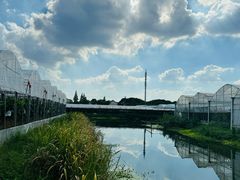 -马陆小张葡萄园农家乐