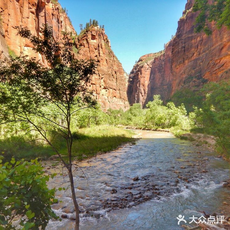 在峡谷间的溪流里步行了七个小时是什么体验?!