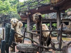 -长鹿旅游休博园
