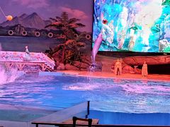 -海合安武汉极地海洋公园