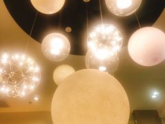 -飞行喵MR PILOT|猫舍·猫咖(静安大融城店)
