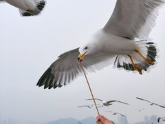 -星海广场