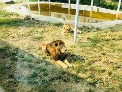 -西安秦岭野生动物园