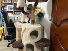 -纳吉亚猫专科动物医院·北北分院