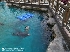 -华夏文旅海洋公园