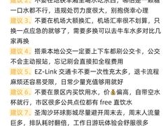 -圣淘沙天际线斜坡滑车