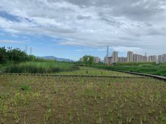 -永定河休闲森林公园