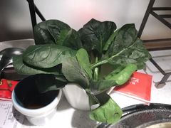 -左庭右院鲜牛肉火锅(苏州园区永旺店)