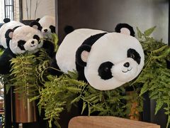 -了凡国风主题茶馆·咖啡(武侯祠锦里店)