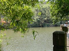 -洪崖丹井