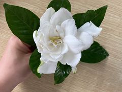 -薛记襄阳香辣牛肉面(平安路店)