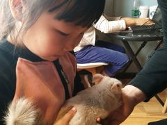 -藦茜花园宠物主题亲子互动体验馆(国顺东路店)