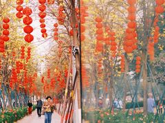 -洲头咀公园