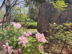 -洛阳市隋唐城遗址植物园