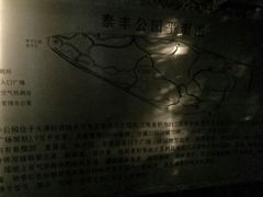 -泰丰公园