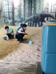 -恐龙探索乐园(磁器口店)