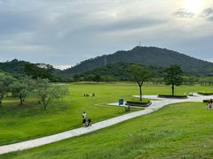 -风云岭森林公园