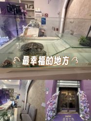 -香秀空间科技抗衰·美容中心
