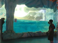 -芜湖新华联大白鲸海洋公园