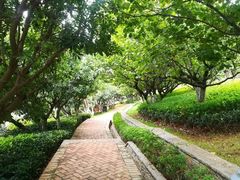 -七彩云南古滇温泉山庄