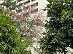 -广州花园酒店