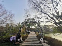 -江心屿景区