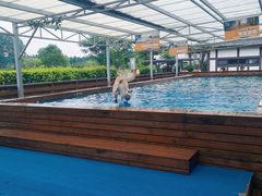 -太阳岛度假酒店