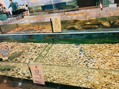 -鹏天阁酒楼·海鲜(红旗店)