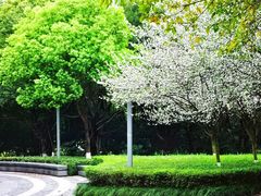 -重庆中央公园(渝北区)