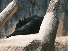 -杭州野生动物世界