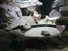 -临沂极地海洋王国