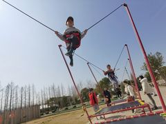 -前小桔亲子创意农场·草莓采摘·露营烧烤
