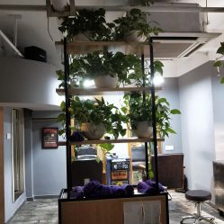 -青禾造型&刺青