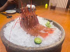 -月龍吟(朝龙汇店)