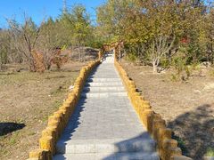 -白水寺森林公园