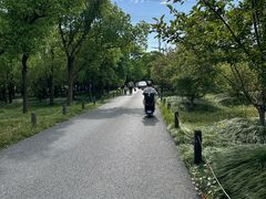 -嘉北郊野公园