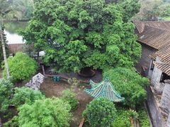 -东莞市可园博物馆