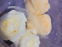 -季季红火锅(文化大厦店)