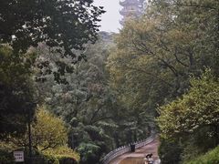 -北极阁公园