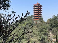 -缙云山景区