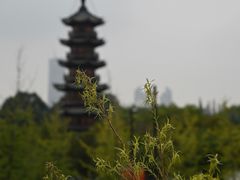 -龙华寺