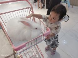 -Moni星球萌宠·小马宝莉·灵蛇·高端高阶全萌宠互动体验俱乐部(红豆国际广场店)