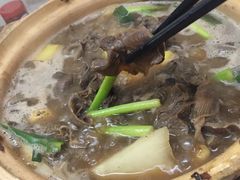 -广宁炭炉鸡煲·富临门饭店