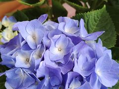 -恒达综合农贸市场(黄山路店)