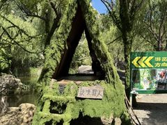 -沂蒙云瀑洞天景区