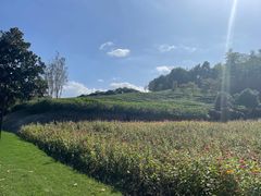 -天目湖涵田半山温泉